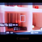 _MG_0710
