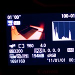 _MG_0719