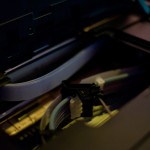 _MG_0737