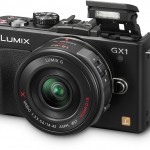 Panasonic GX1 Flash