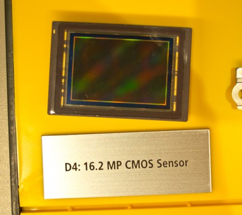 Nikon D4-23