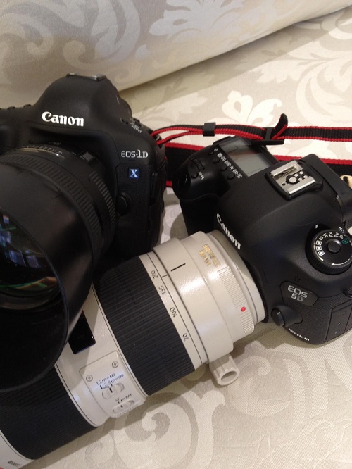 Canon 5D Mark III and 1D X