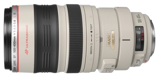 Canon 100-400mm Lens
