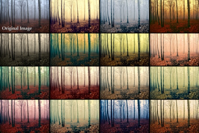 trees_grid