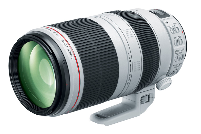 Canon EF 100-400mm f4.5-5.6L IS II USM