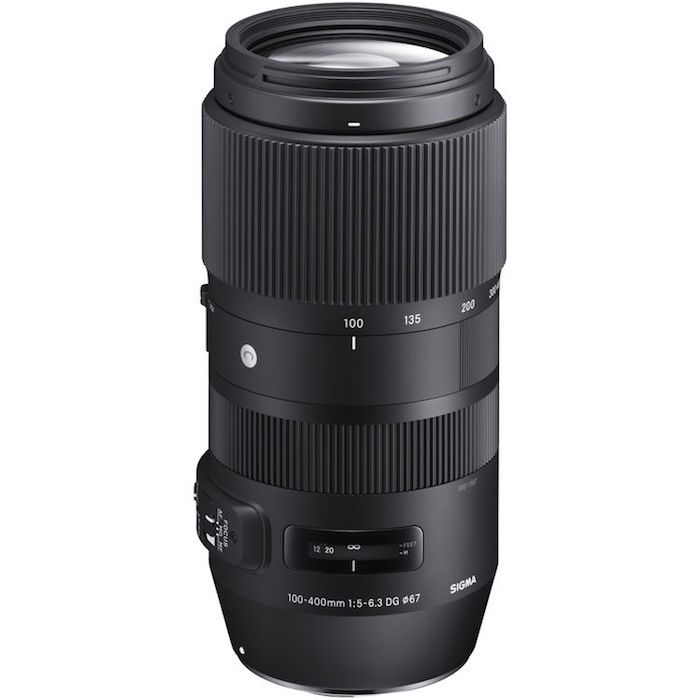 Sigma 100-400mm Lens
