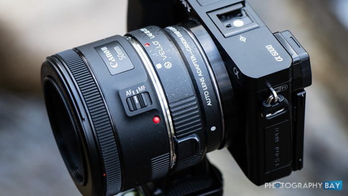 Can a Canon Lens Fit a Sony Camera 